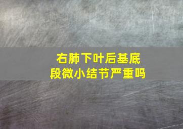 右肺下叶后基底段微小结节严重吗