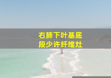 右肺下叶基底段少许纤维灶