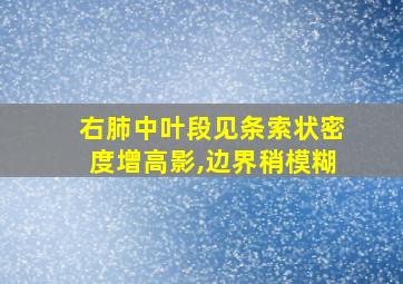 右肺中叶段见条索状密度增高影,边界稍模糊