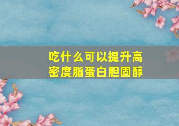 吃什么可以提升高密度脂蛋白胆固醇