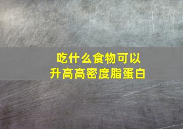 吃什么食物可以升高高密度脂蛋白