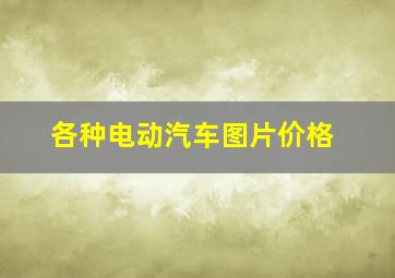 各种电动汽车图片价格