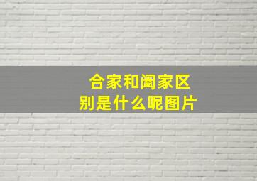 合家和阖家区别是什么呢图片