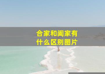 合家和阖家有什么区别图片