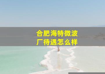 合肥海特微波厂待遇怎么样