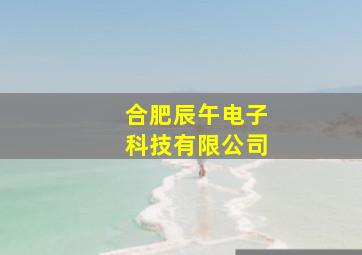 合肥辰午电子科技有限公司