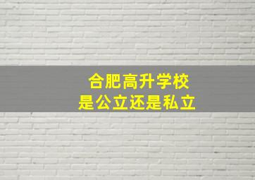 合肥高升学校是公立还是私立