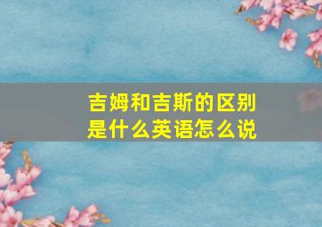 吉姆和吉斯的区别是什么英语怎么说