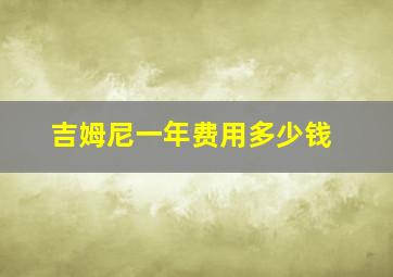 吉姆尼一年费用多少钱