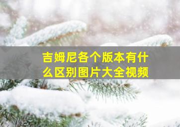 吉姆尼各个版本有什么区别图片大全视频