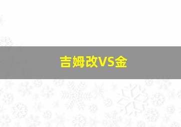 吉姆改VS金