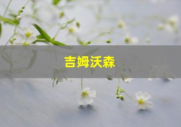 吉姆沃森