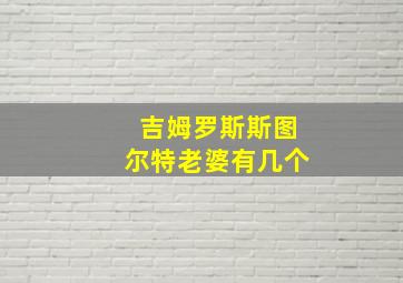 吉姆罗斯斯图尔特老婆有几个