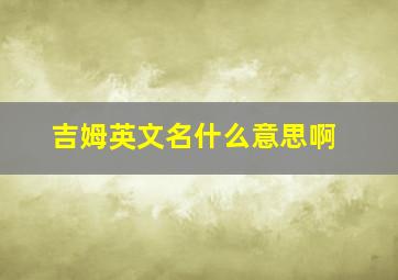 吉姆英文名什么意思啊