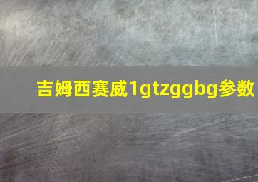 吉姆西赛威1gtzggbg参数