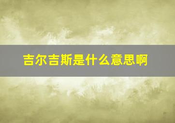 吉尔吉斯是什么意思啊