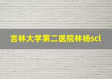 吉林大学第二医院林杨scl