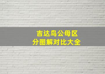 吉达鸟公母区分图解对比大全