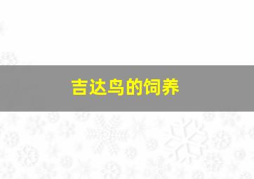 吉达鸟的饲养