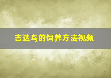 吉达鸟的饲养方法视频