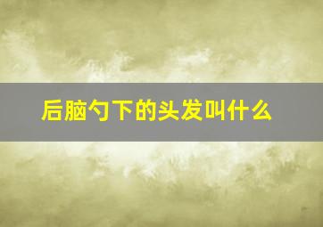 后脑勺下的头发叫什么