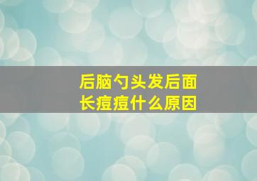 后脑勺头发后面长痘痘什么原因