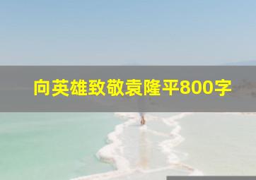 向英雄致敬袁隆平800字