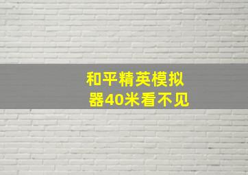 和平精英模拟器40米看不见