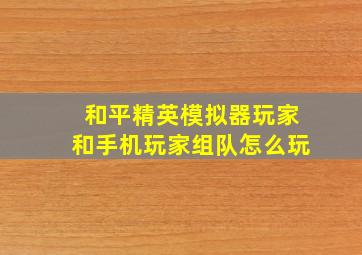 和平精英模拟器玩家和手机玩家组队怎么玩