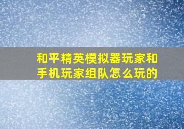 和平精英模拟器玩家和手机玩家组队怎么玩的