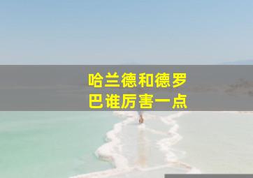 哈兰德和德罗巴谁厉害一点