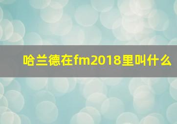 哈兰德在fm2018里叫什么