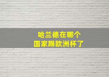 哈兰德在哪个国家踢欧洲杯了