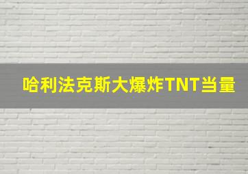 哈利法克斯大爆炸TNT当量