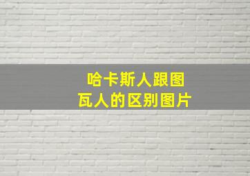 哈卡斯人跟图瓦人的区别图片