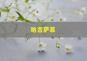 哈吉萨菲