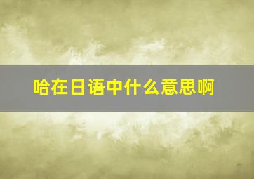 哈在日语中什么意思啊