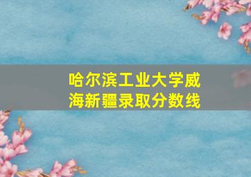 哈尔滨工业大学威海新疆录取分数线