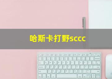 哈斯卡打野sccc