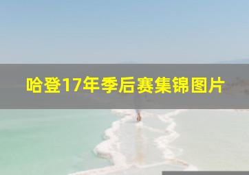 哈登17年季后赛集锦图片