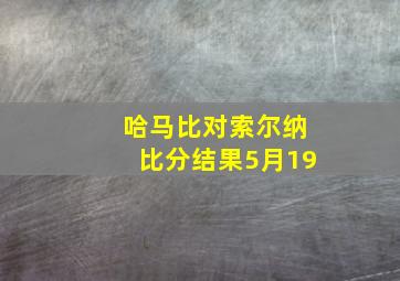 哈马比对索尔纳比分结果5月19