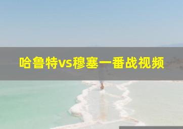 哈鲁特vs穆塞一番战视频