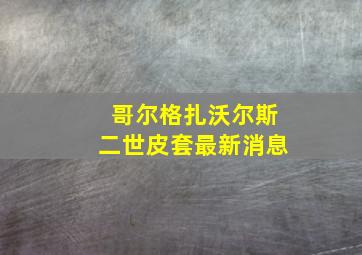 哥尔格扎沃尔斯二世皮套最新消息