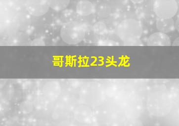 哥斯拉23头龙