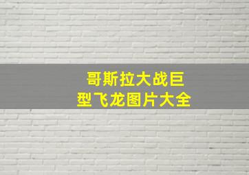 哥斯拉大战巨型飞龙图片大全