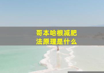 哥本哈根减肥法原理是什么