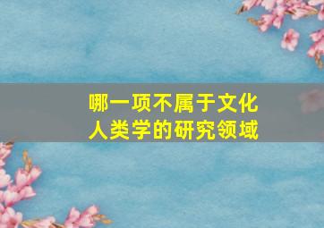 哪一项不属于文化人类学的研究领域