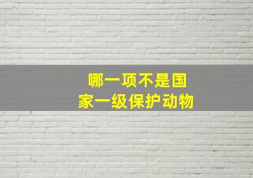 哪一项不是国家一级保护动物