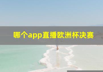 哪个app直播欧洲杯决赛