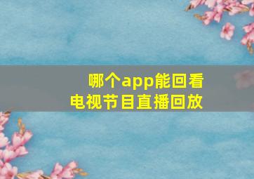 哪个app能回看电视节目直播回放